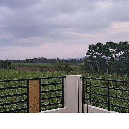 Coconut Homestay 亨比 外观 照片