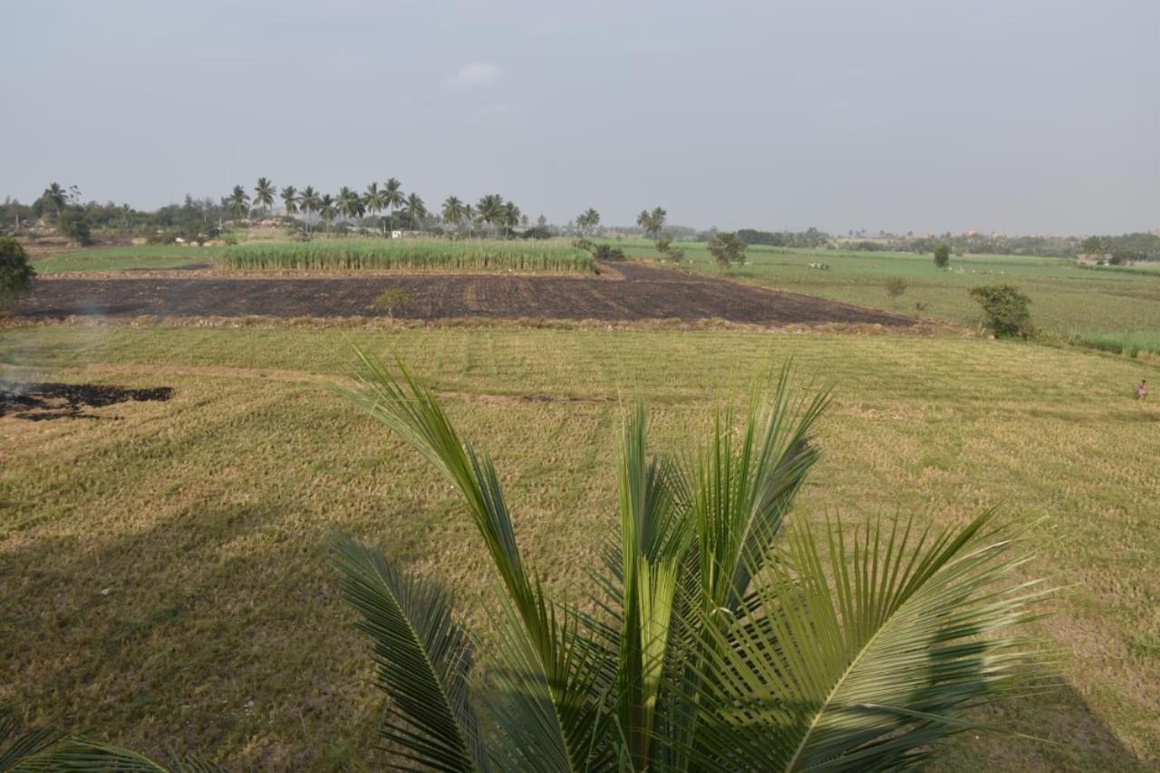 Coconut Homestay 亨比 外观 照片