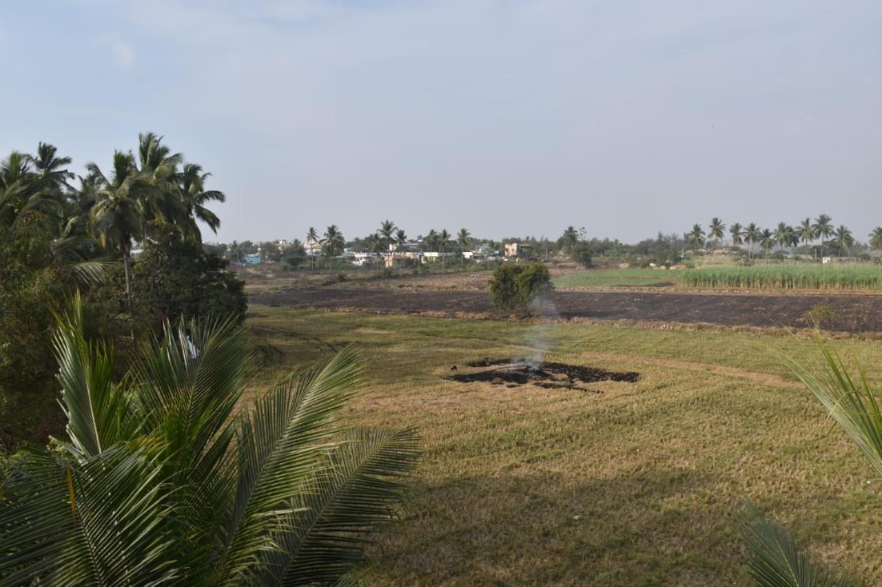 Coconut Homestay 亨比 外观 照片