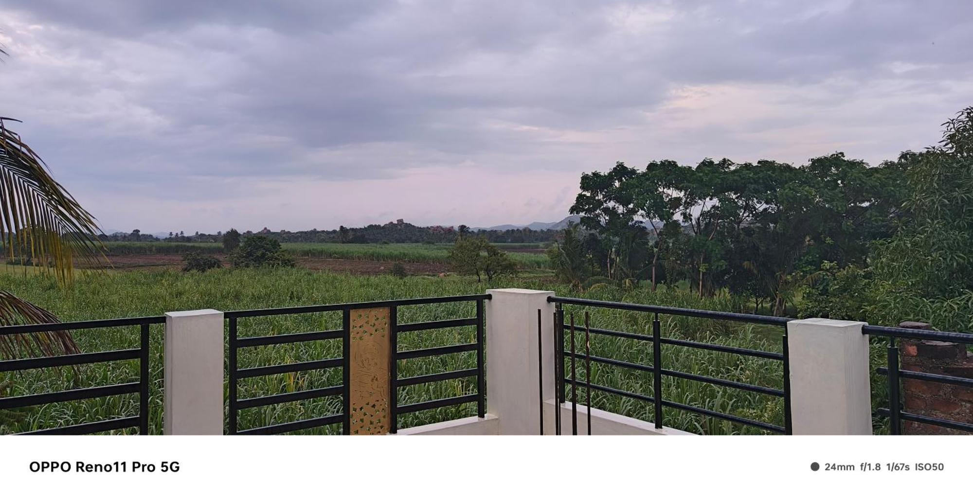 Coconut Homestay 亨比 外观 照片